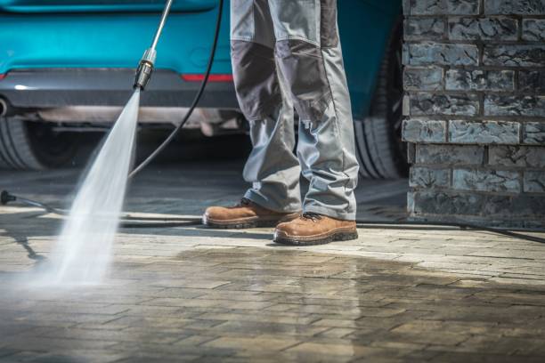 Best Roof Cleaning and Mildew Removal in West Canton, NC