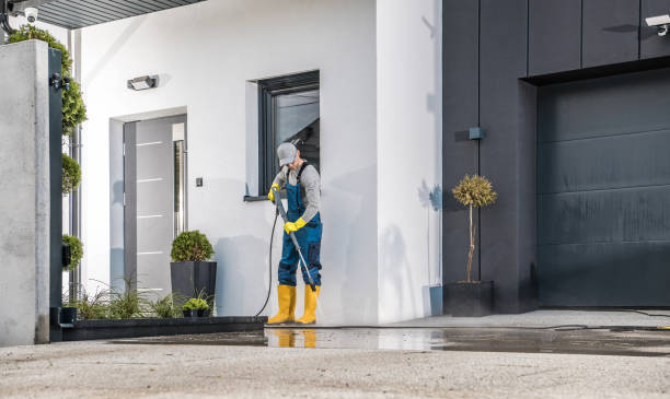 Best Soft Washing for Delicate Surfaces in West Canton, NC